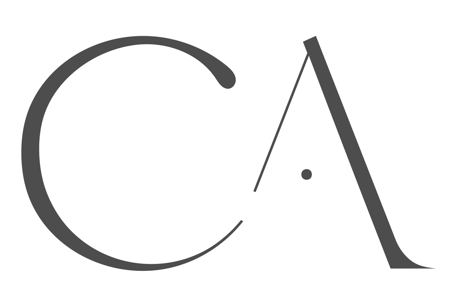 icono web ca